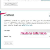 Google reCAPTCHA: integrate with CF7 to eliminate spam 3