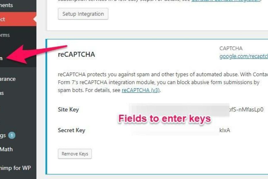 Google reCAPTCHA: integrate with CF7 to eliminate spam 3