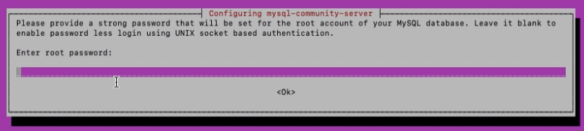 MySQL Server ROOT Password setup