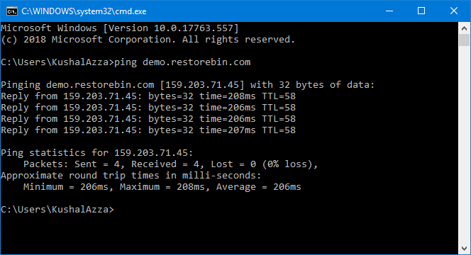 Ping Domain Name in Windows CMD Prompt