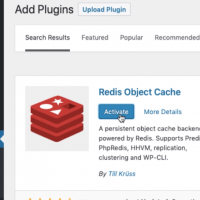 Setup Redis Object Cache to Optimize WordPress Database Usage 2