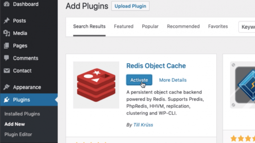 Setup Redis Object Cache to Optimize WordPress Database Usage 1