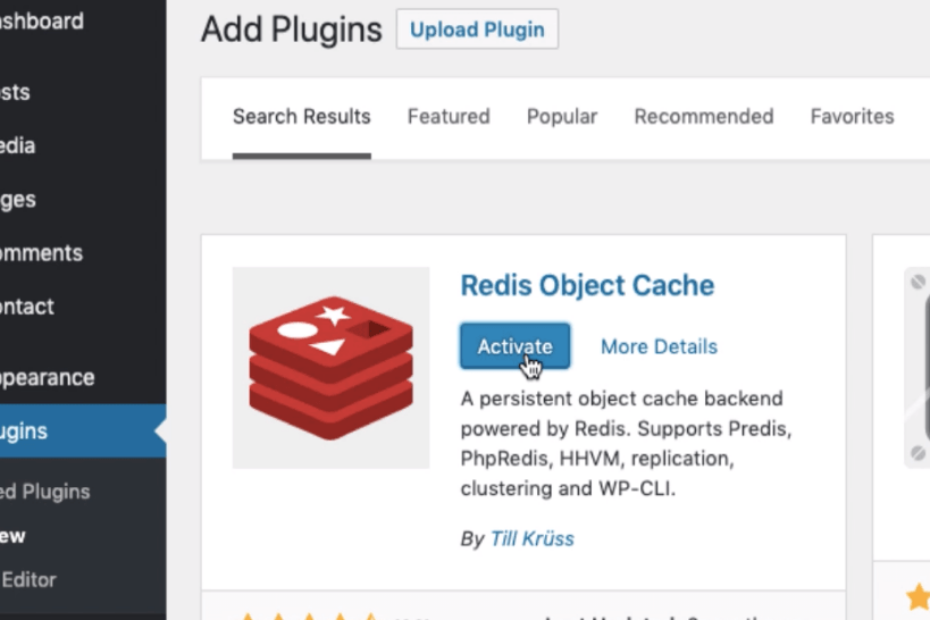 Setup Redis Object Cache to Optimize WordPress Database 2