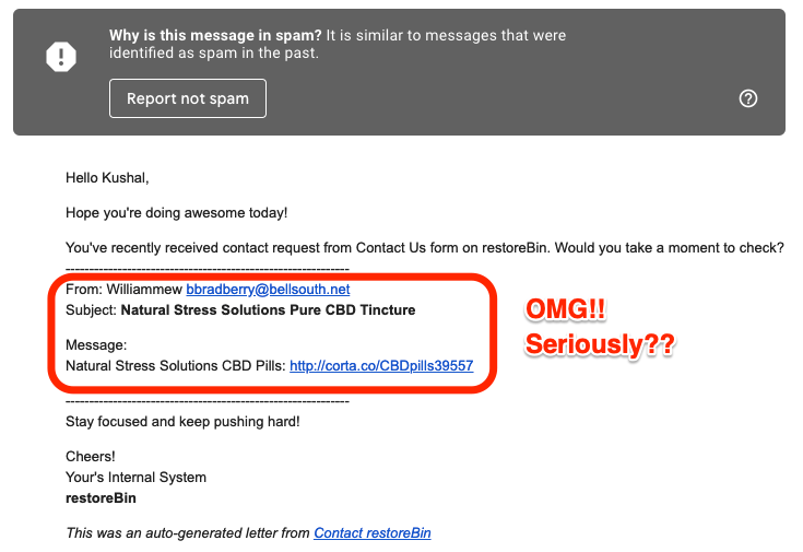 Spam email contact request example