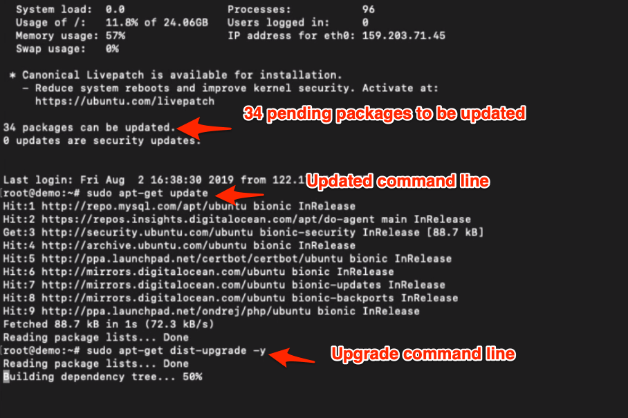 Ubuntu Cloud Server Update and Upgrade